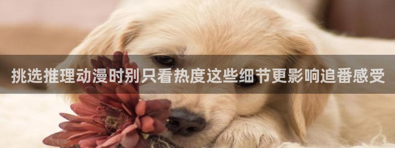 咲良动漫里番在线观看：挑选推理动漫时别只看热度这些细节更影响追番感受配图
