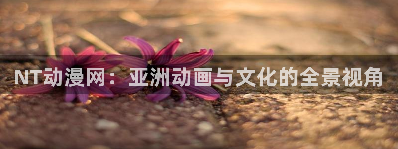 里 番 动漫在线观看:NT动漫网:亚洲动画与文化的全景视角配图