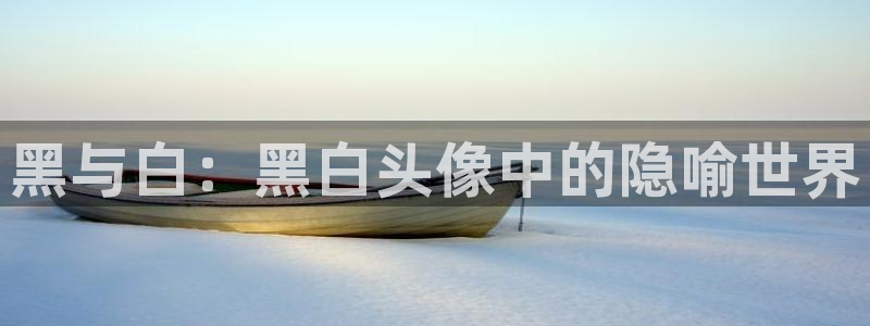 里番孕动漫在线观看:黑与白:黑白头像中的隐喻世界配图